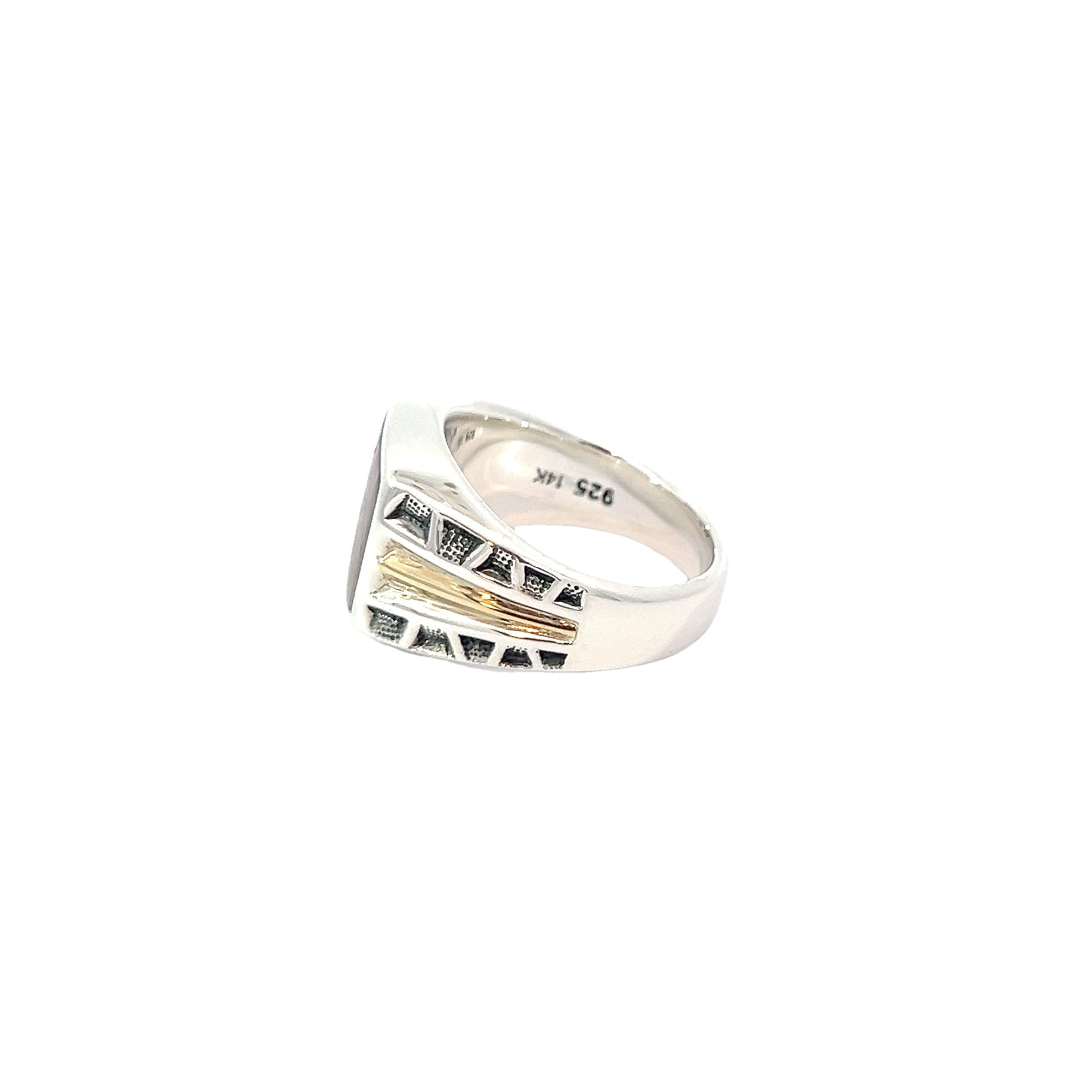 POLLYGEMS Dino Fossil Signet Ring - Pollygems HK