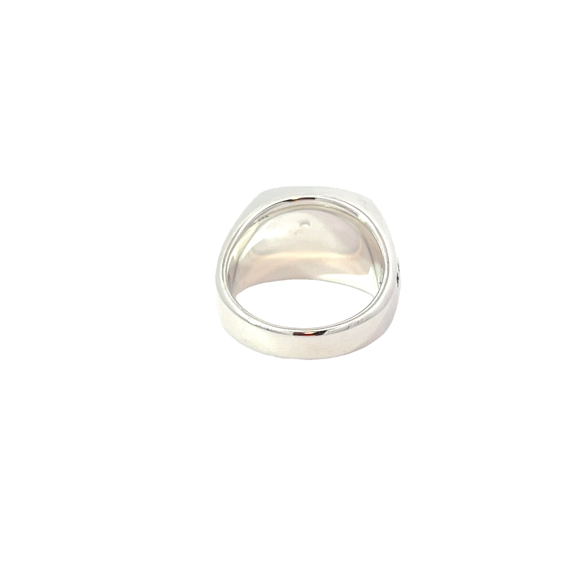 POLLYGEMS Dino Fossil Signet Ring - Pollygems HK