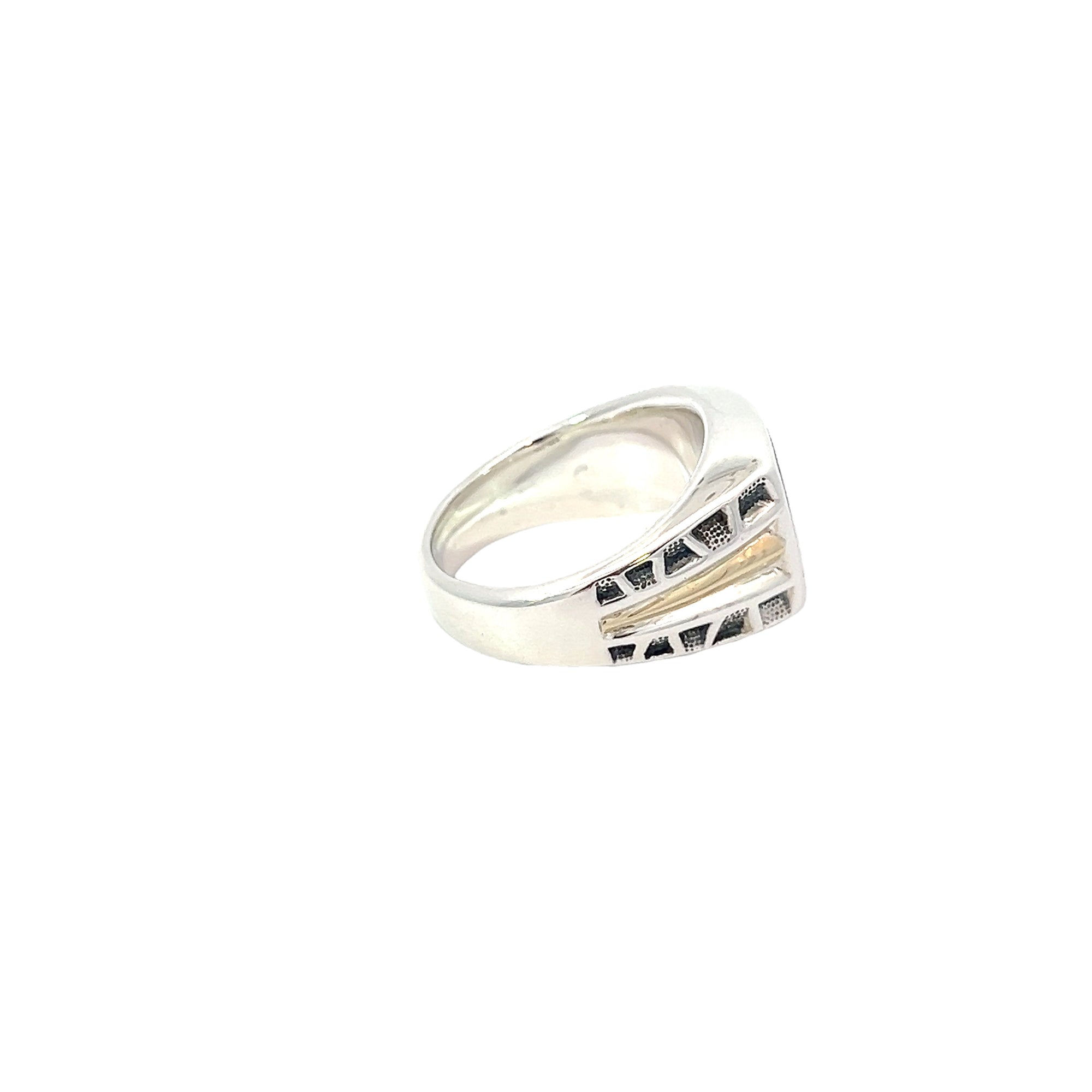 POLLYGEMS Dino Fossil Signet Ring - Pollygems HK