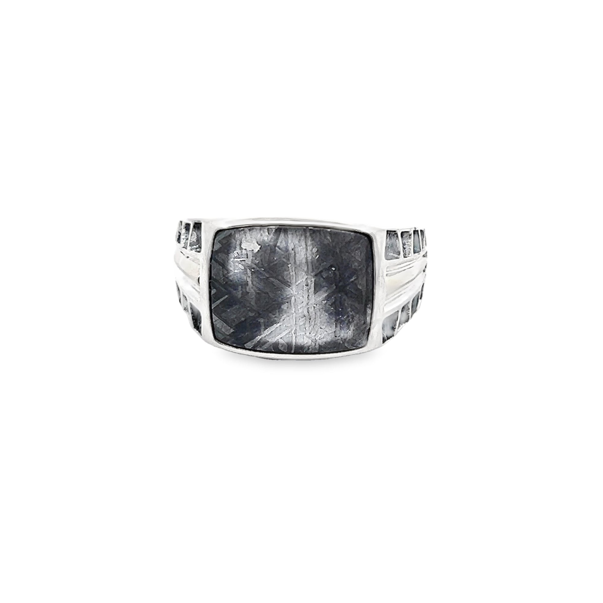 POLLYGEMS Meteorite Signet Ring - Pollygems HK