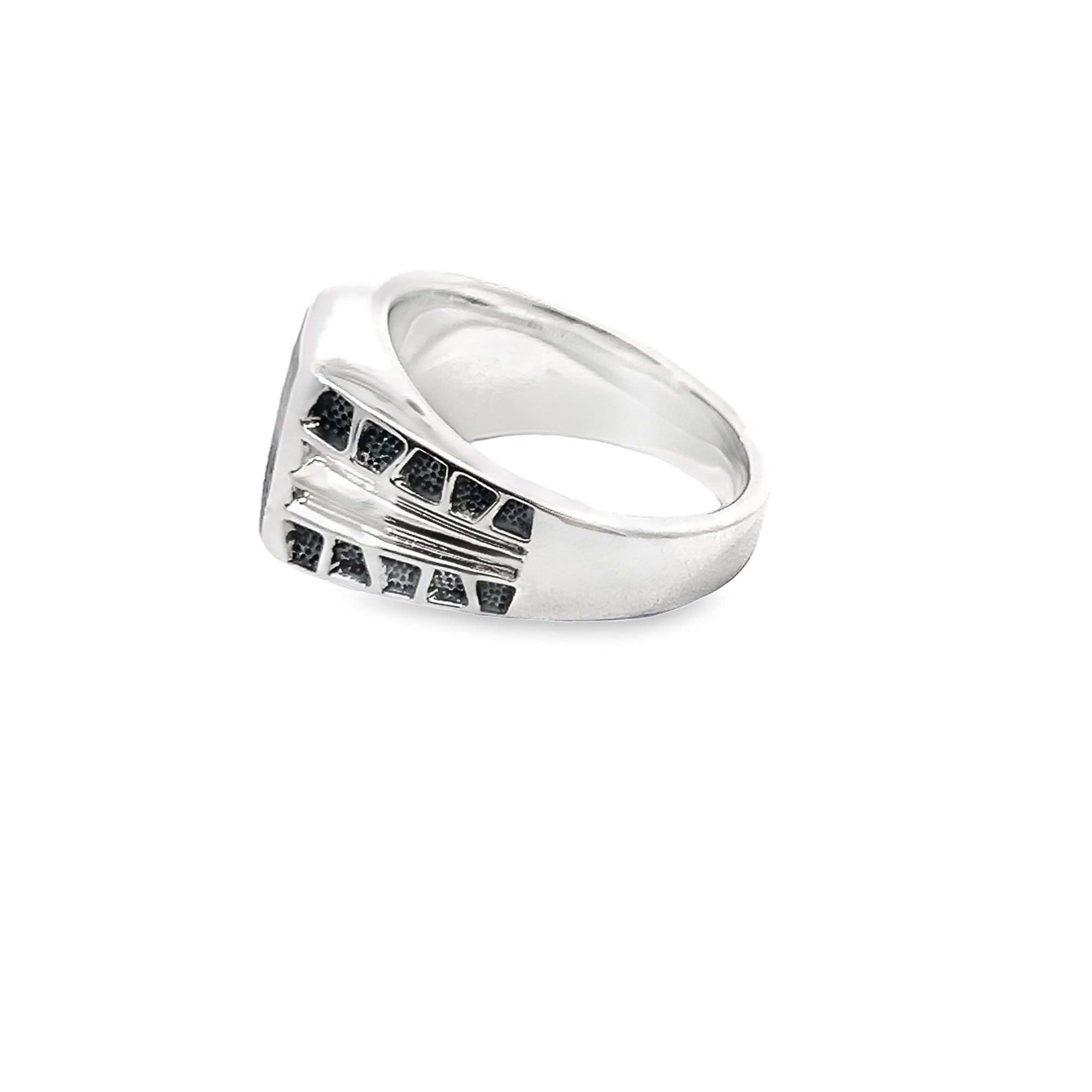 POLLYGEMS Meteorite Signet Ring - Pollygems HK