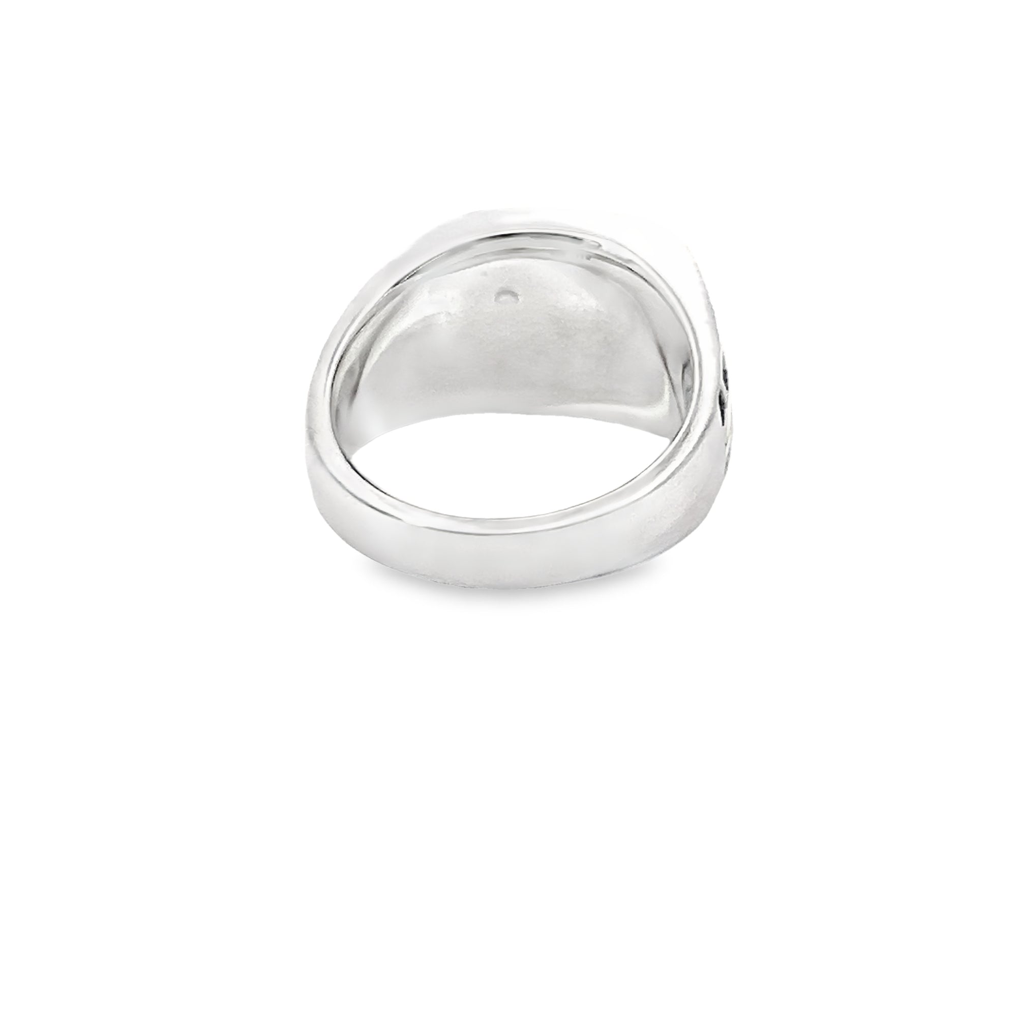 POLLYGEMS Meteorite Signet Ring - Pollygems HK