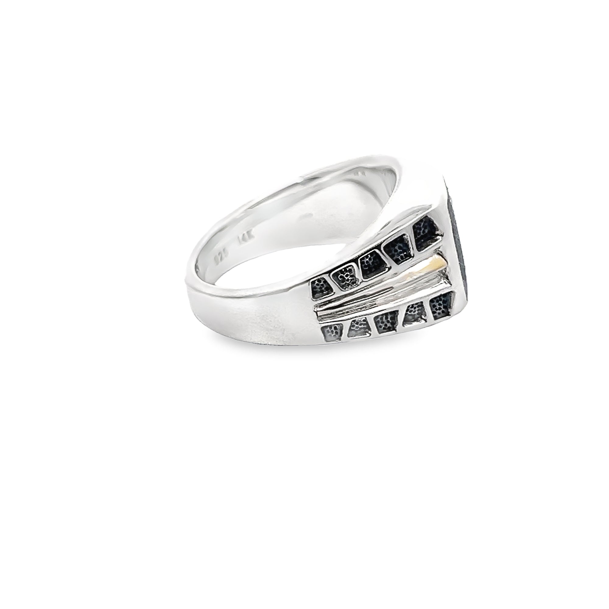 POLLYGEMS Meteorite Signet Ring - Pollygems HK
