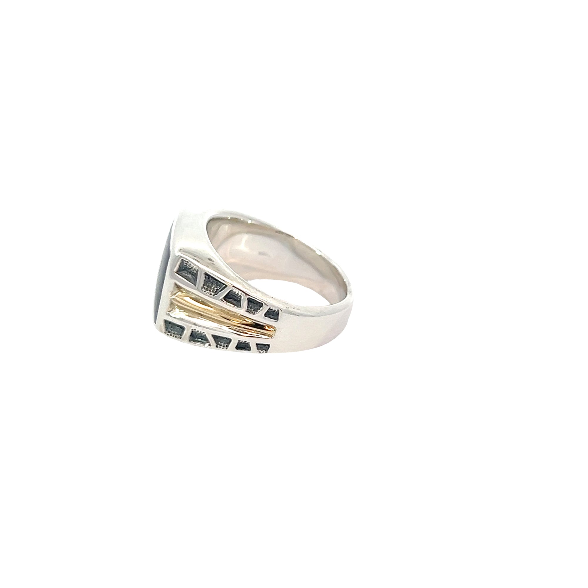 POLLYGEMS Blue Pietersite Signet Ring - Pollygems HK