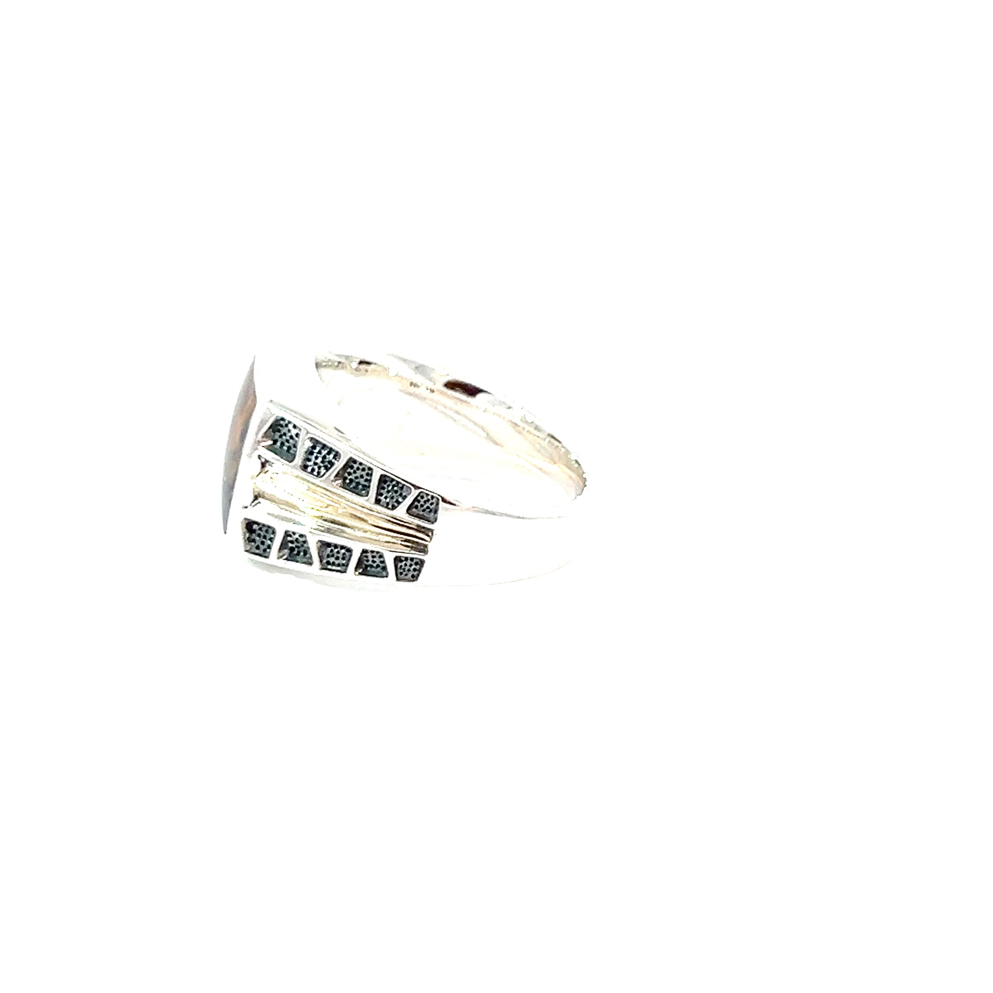 POLLYGEMS Pietersite Signet Ring - Pollygems HK
